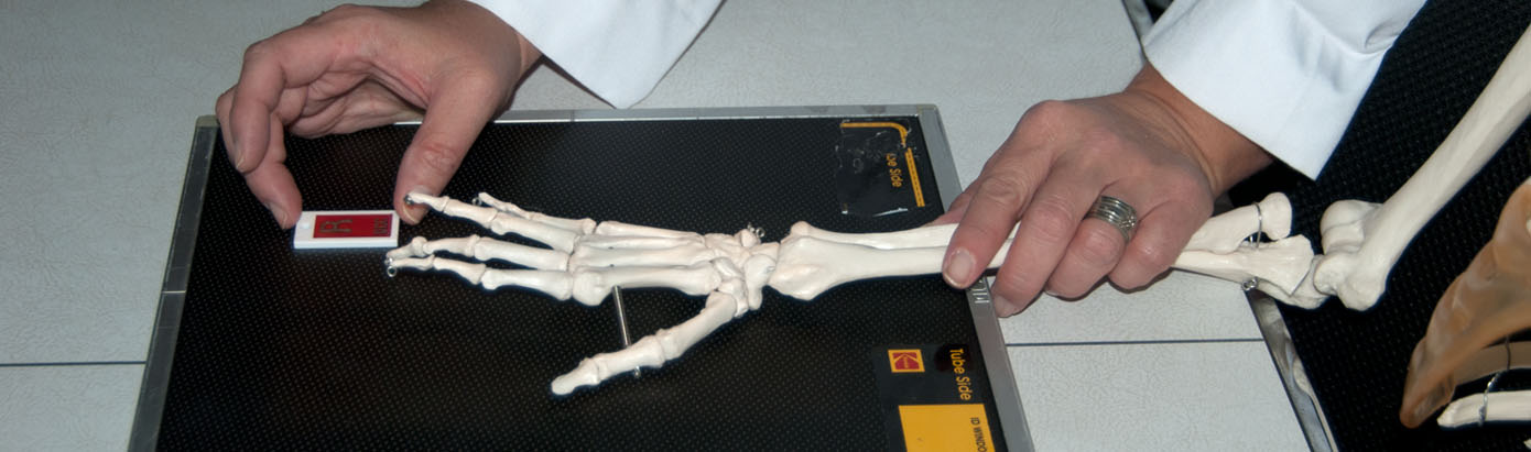 Hand bones being x-rayed