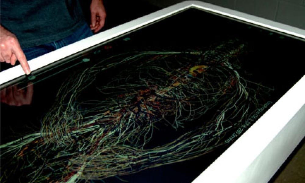 Anatomage Table