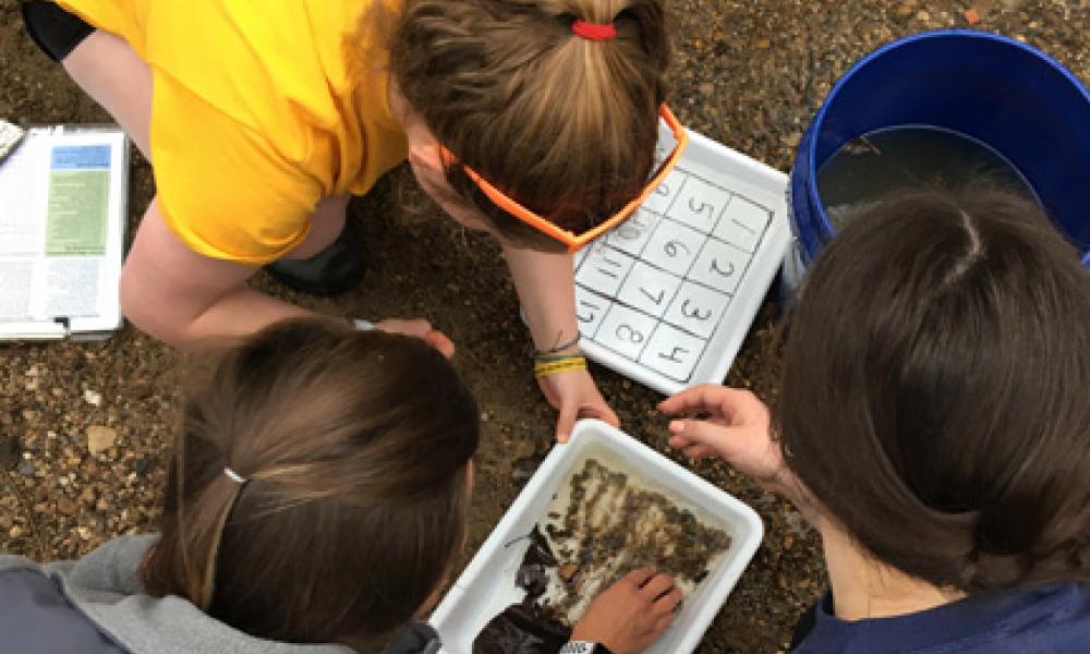 Students Participating in RiverWatch Citizen Scientist Training