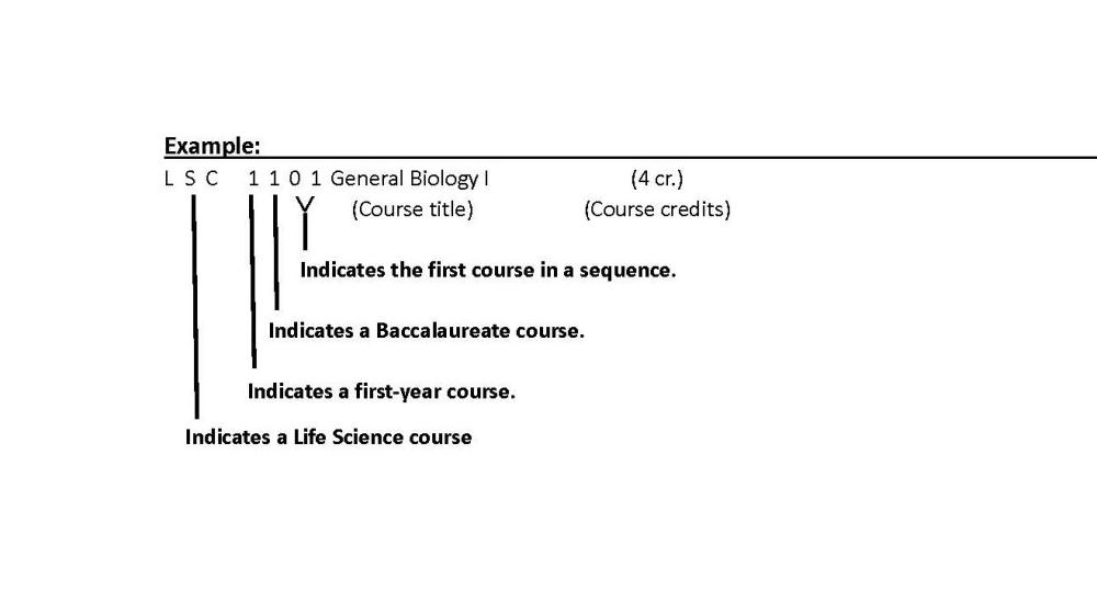Course Number Example.jpg