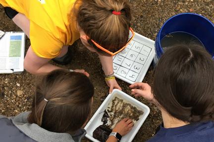 Assistant Professor Sarah Bergbower and Students Participate in RiverWatch Citizen Scientist Training - Vimarsana News