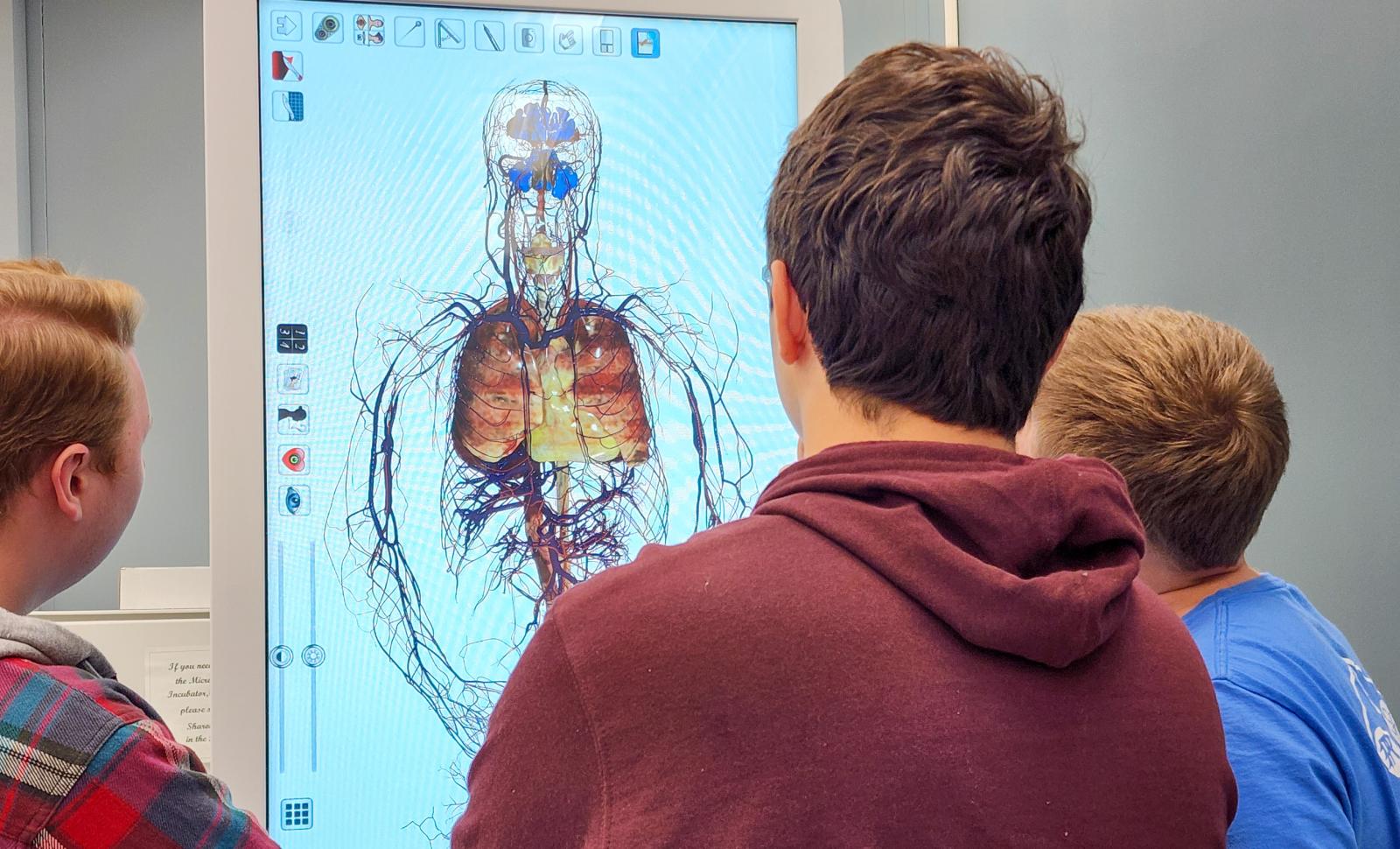 LTC students study anatomy using the Anatomage Table