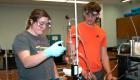 Students working in the chemistry lab